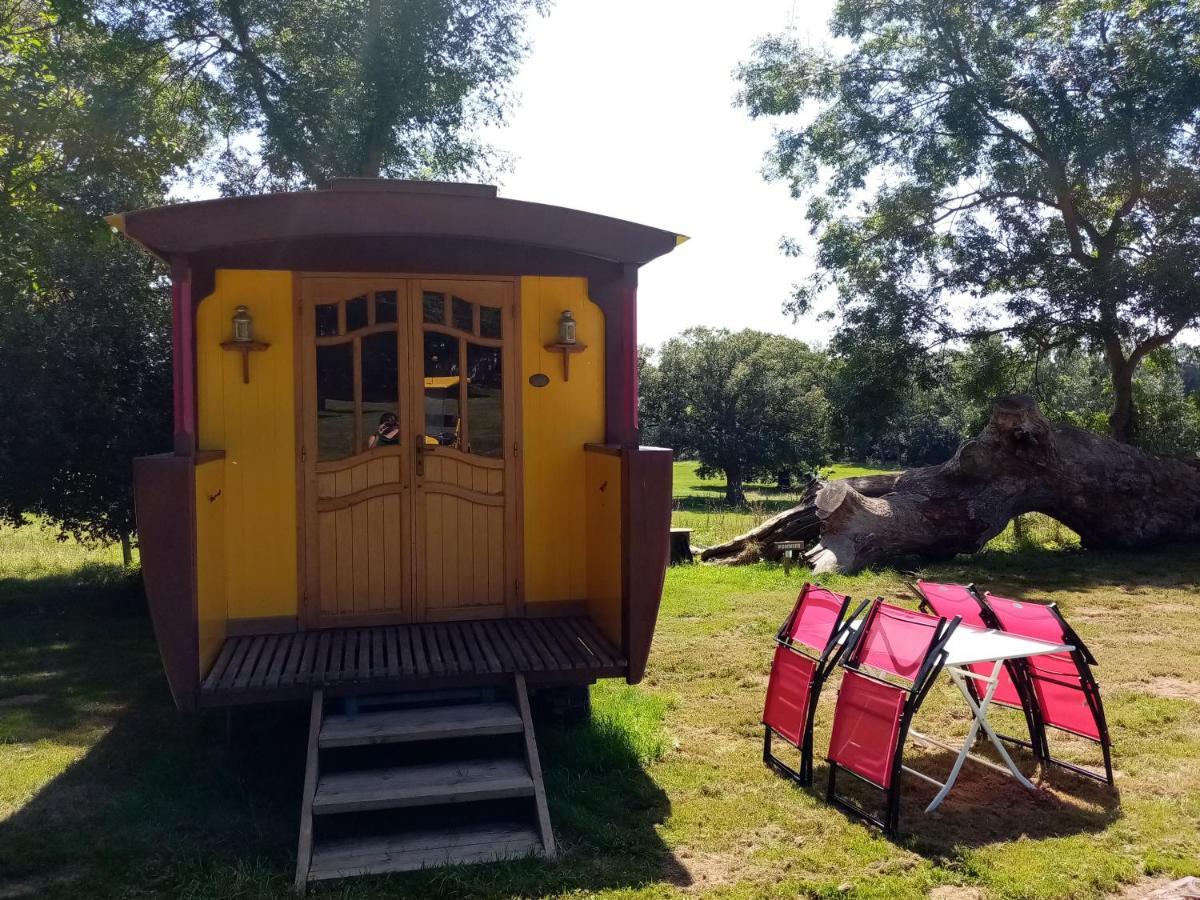 Camping La Bergerie Hotel La Chapelle-Achard Exterior photo